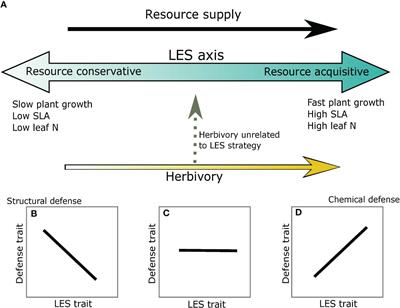 Integrating defense and leaf economic spectrum traits in a tropical savanna plant